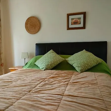 Hh Haven Roscrea