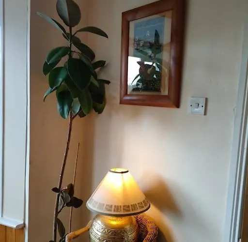 Hh Haven Роскрей